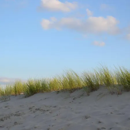 Holiday home In Dunes With Nautical Charm 's-Gravenzande